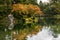 Colourful trees in Kenroku-en garden