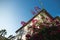 Colourful tropical purple bougainvillea creeper flowering over villa typical of Mediterranean architecture