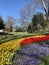 Colourful tulips in the park of Istanbul