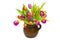 Colourful tulips in a vase