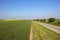 Colourful upland farmland of the Yorkshire wolds in springtime