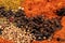 Colourful various  spices on dark background