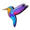 Colourful Vector Hummingbird