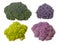 Colourful vegetables, florets isolated on white. Raw cauliflower, broccoli and purple sprouting. Healthy assortment.