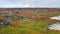 Colourful vegetation on the Chinese Hat island, Galapagos, Ecuador