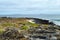 Colourful vegetation on the Chinese Hat island, Galapagos, Ecuador