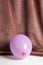 Colourful velvet pink balloon