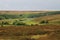 Colourful view of North Yorkshire in Summer