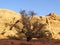 Colourful Wadi Rum desert, Jordan