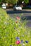 Colourful wild flowers, including poppies and cornflowers, on a roadside verge in Eastcote, West London UK.