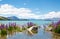 Colourful wild lupins flowering along the edge of Lake Tekapo in summer, New Zealand