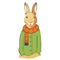 Colourful winter Hare