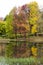 Colourfull autumn colored trees next to the water