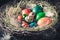 Colourfull Easter eggs on hay with feathers