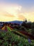 colourfull garden view with nice sky