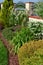 Colourfull ornamental garden with group of shrubs perennials and conifers