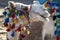 A colourfully decorated camel relaxes in the Nubian village of Garb-Sohel in the Aswan region of Egypt.