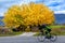 Colours of Abruzzo in Autumb