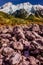 Colours of Nature, Painted by GOD, Valley Track, Aoraki, Mount Cook, New Zealand