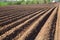 Colours of spring - ploughed field ready to sow. Agricultural fields in Russia.