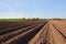 Colours of spring - ploughed field ready to sow. Agricultural fields in Russia