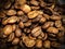 Colseup Roasted coffeebeans background