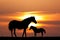 Colt with the mare at sunset