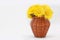 Coltsfoot Tussilago farfara flowers bouquet in wicker vase