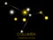 Columba constellation. Bright yellow stars in the night sky. A cluster of stars in deep space, the universe. Vector illustration