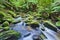 Columba creek stream horizontal