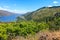 Columbia river. A beautiful view from panaroma view point