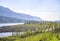 Columbia River floodplain landscape with flowering trees and high rocky mountains in blue haze in the Columbia River Gorge