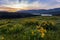 Columbia river gorge National scenic area overlook