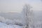 Columbia River Winter Scape; After the Jack Frost`s Visit