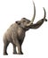 Columbian Mammoth