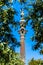 The Columbus Monument Mirador de Colom, a monument to Christopher Columbus in Barcelona, Spain