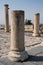 Column on the Byzantine Church Terrace in Gadara
