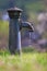 Column with dripping water drops