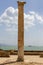 Column at the extivations of Carthage