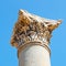 column in old temple and theatre in ephesus antalya turkey as