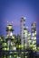 Column tower in petrochemical plant