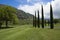 Columnar Evergreens on Makaha Valley Golf Course, Oahu