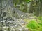 Columnar jointed organ pipe rock formation in Czech Republic