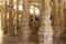 Columned hall of a Jain Temple in Ranakpur,India