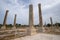 Columned street. Roman remains in Tyre. Tyre is an ancient Phoenician city. Tyre, Lebanon