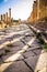 Columns and cobblestones of an ancient Roman road in Jerash