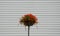 Columns with decorative hanging flowerpots made of plastic. hanging flowers in the shape of baskets, garland. adorns public street