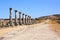 Columns on Decumanus Maximus Street, Volubilis, Morocco