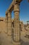 Columns of the Festival Hall of Thutmose III in the Karnak Temple Complex, Egy