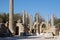 Columns at the Hadrianic Baths, Leptis Magna, Libya